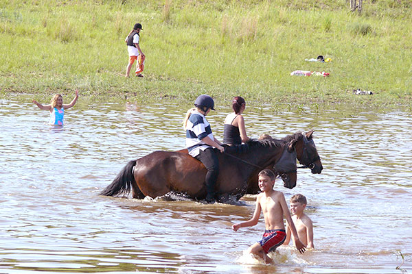 shepherd's fold trail rides