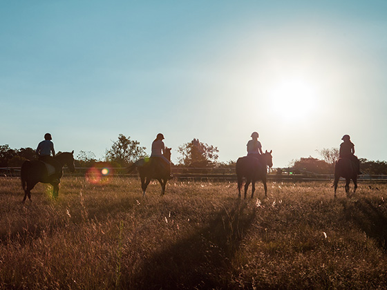 shepherd's fold trail rides